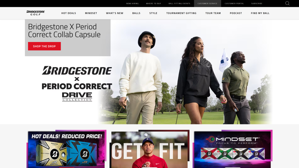 screenshot of the BridgeStone homepage