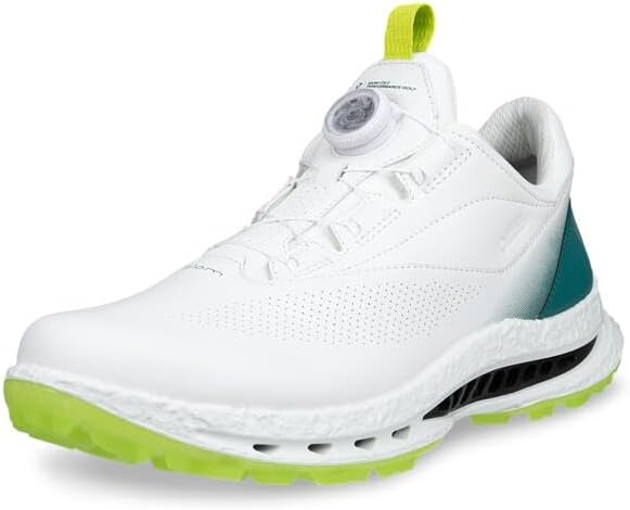image of Ecco Biom C5 best golf shoes