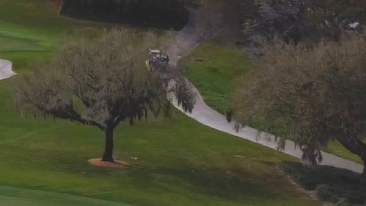 Oak tree and cart path at Orange County National, our top pick among the best golf courses in Orlando