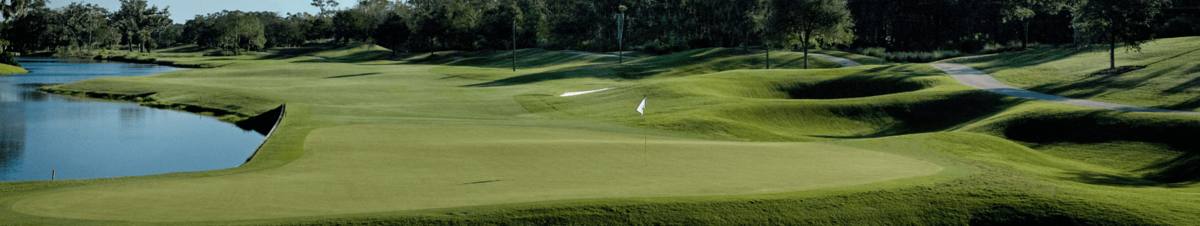 Lakeside green on Dye's Valley at TPC Sawgrass in Ponte Vedra Beach